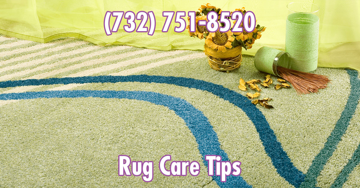 Rug Care Tips Rug Cleaning Madison